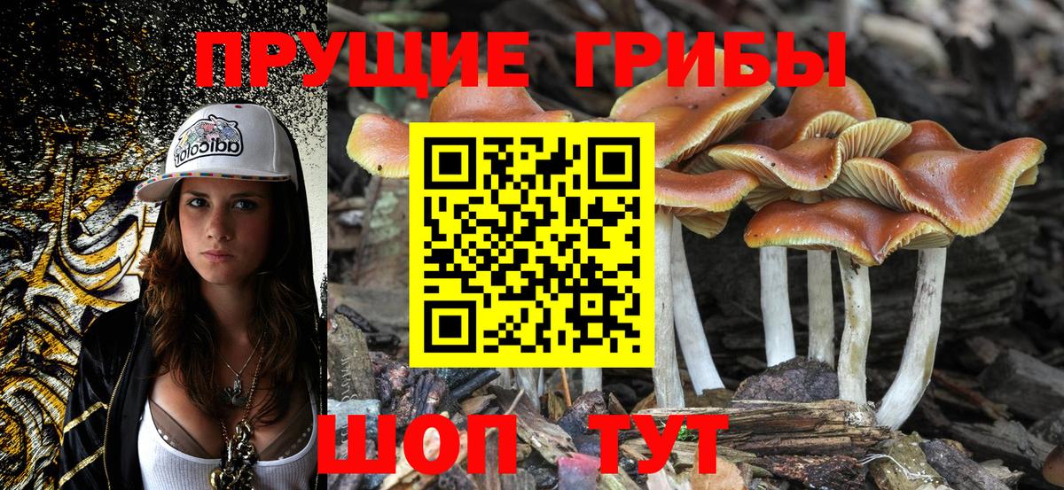 Галлюциногенные грибы Cubensis Краснодар